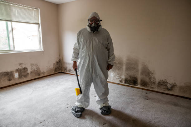 Best Attic Mold Removal  in Southern Shops, SC